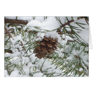 Snowy Gräs Cone I Winter Nature Photogratography OBS Kort