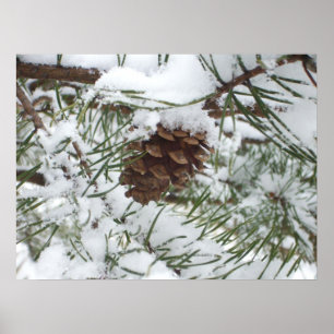 Snowy Gräs Cone I Winter Nature Photogratography Poster