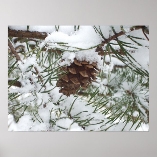 Snowy Gräs Cone I Winter Nature Photogratography Poster (Framsidan)