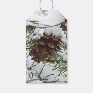Snowy Gräs Cone I Winter Nature Photogratography Presentetikett