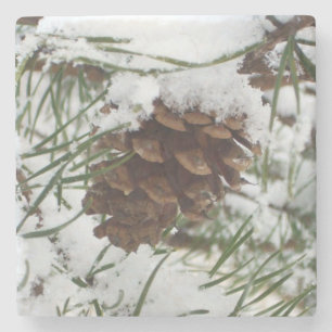 Snowy Gräs Cone I Winter Nature Photogratography Stenunderlägg