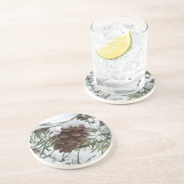 Snowy Gräs Cone I Winter Nature Photogratography Underlägg Sandsten (Sidan)