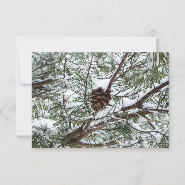 Snowy Gräs Cone II Winter Nature Fotography (Framsida)