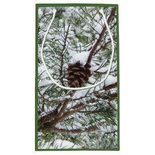 Snowy Gräs Cone II Winter Nature Fotography