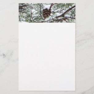 Snowy Gräs Cone II Winter Nature Fotography Brevpapper