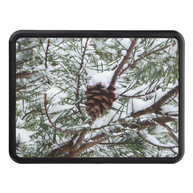 Snowy Gräs Cone II Winter Nature Fotography Dragkroksskydd (Framsidan)