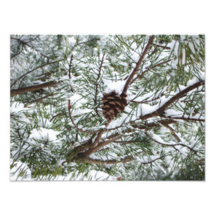 Snowy Gräs Cone II Winter Nature Fotography Fototryck