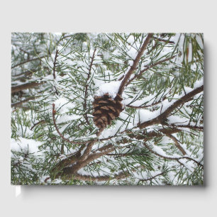 Snowy Gräs Cone II Winter Nature Fotography Gästböcker