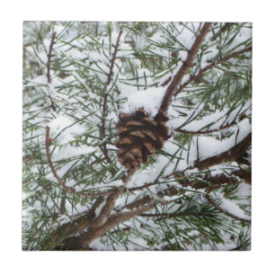 Snowy Gräs Cone II Winter Nature Fotography Kakelplatta