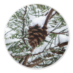 Snowy Gräs Cone II Winter Nature Fotography Knopp
