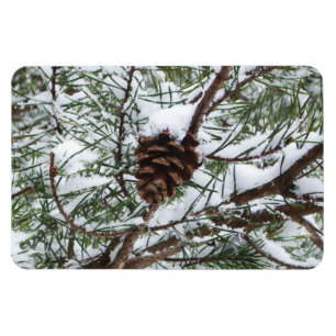 Snowy Gräs Cone II Winter Nature Fotography Magnet