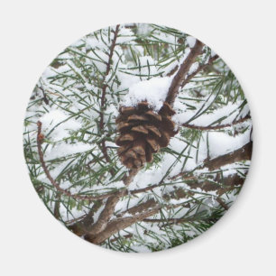 Snowy Gräs Cone II Winter Nature Fotography Magnet