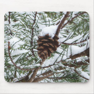 Snowy Gräs Cone II Winter Nature Fotography Musmatta