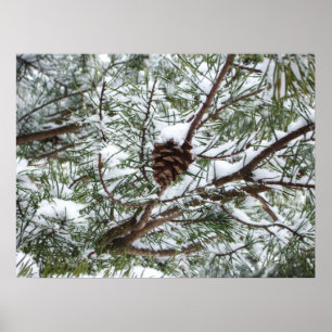 Snowy Gräs Cone II Winter Nature Fotography Poster