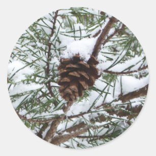 Snowy Gräs Cone II Winter Nature Fotography Runt Klistermärke