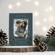 Snowy Gräs | Elegant Julfoto