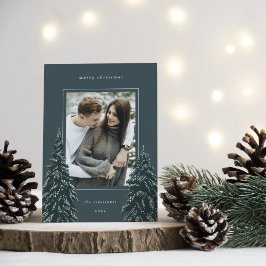 Snowy Gräs | Elegant Julfoto Julkort