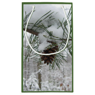 Snowy Gräs Gren Winter Nature Fotography