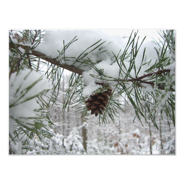 Snowy Gräs Gren Winter Nature Fotography Fototryck (Framsidan)