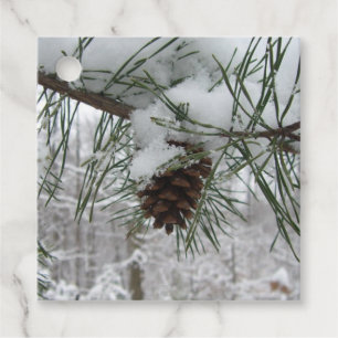 Snowy Gräs Gren Winter Nature Fotography Gåvor Etiketter