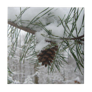 Snowy Gräs Gren Winter Nature Fotography Kakelplatta