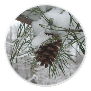 Snowy Gräs Gren Winter Nature Fotography Knopp