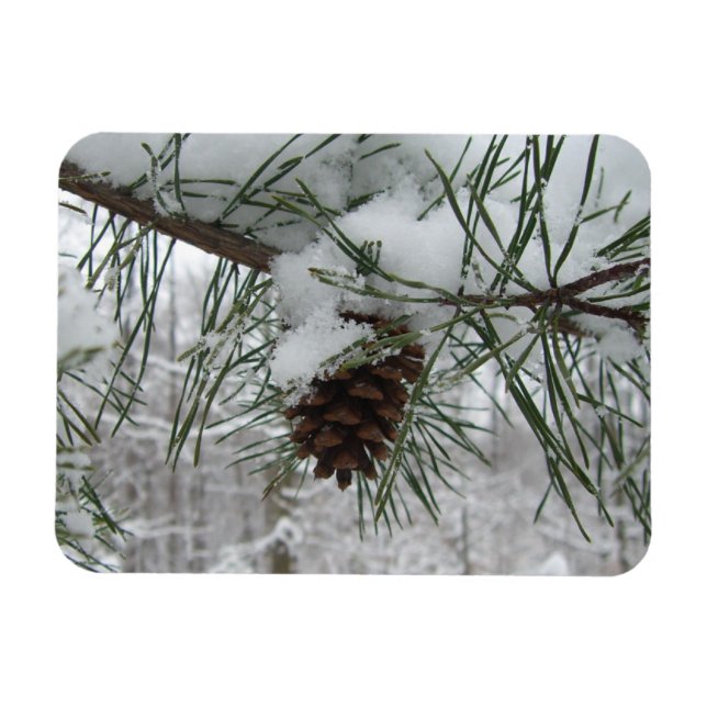 Snowy Gräs Gren Winter Nature Fotography Magnet (Horisontell)