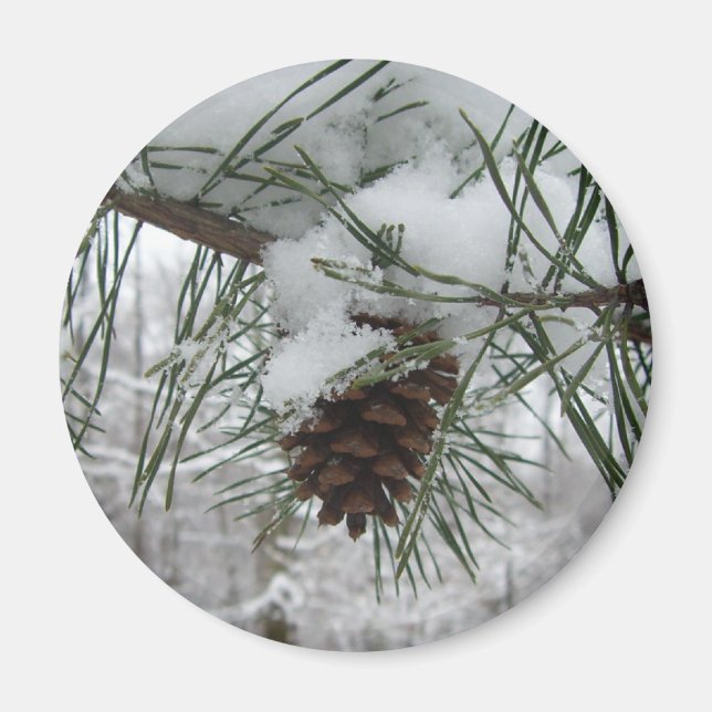 Snowy Gräs Gren Winter Nature Fotography Magnet (Framsidan)