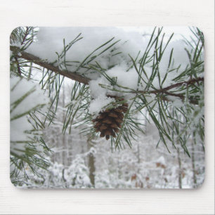 Snowy Gräs Gren Winter Nature Fotography Musmatta