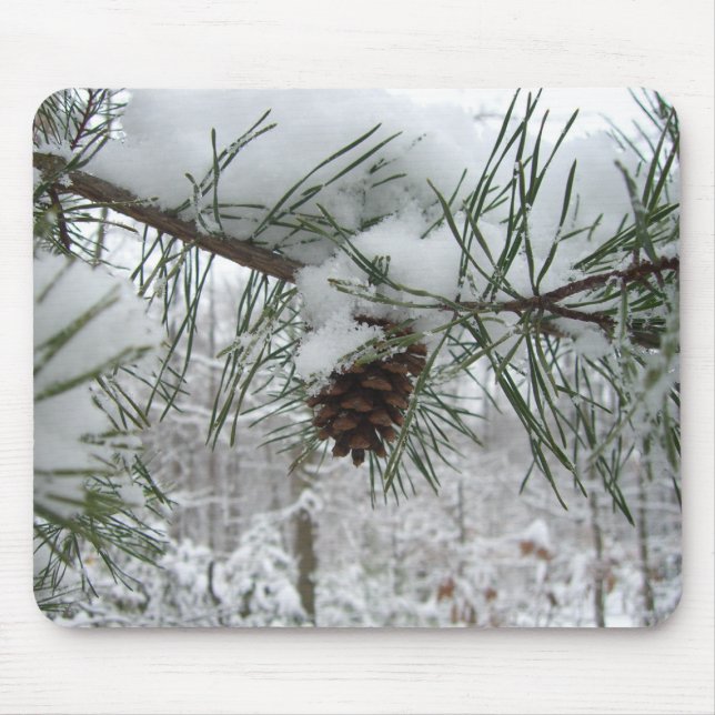 Snowy Gräs Gren Winter Nature Fotography Musmatta (Framsidan)