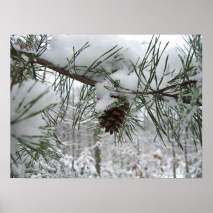 Snowy Gräs Gren Winter Nature Fotography Poster