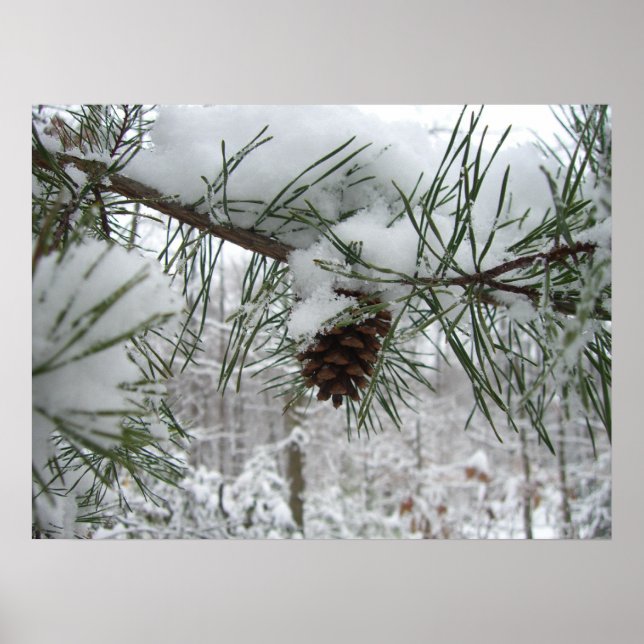 Snowy Gräs Gren Winter Nature Fotography Poster (Framsidan)