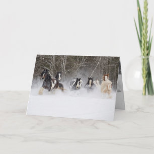 Snowy Gypsy Horses Springa Horse Greeting Card Kort