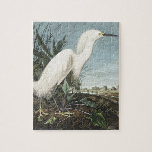 Snowy Heron eller White Egret från amerikanska f Pussel