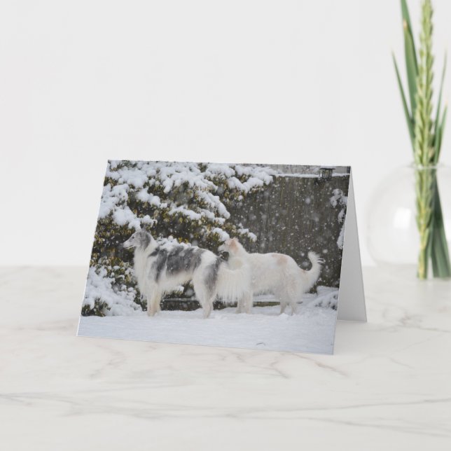 Snowy Hunt Borzoi Photography Greeting Card Meddelande (Framsida)