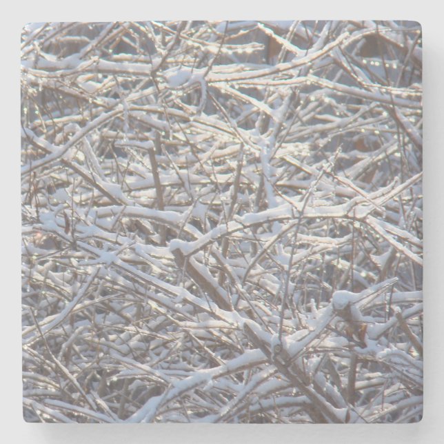 Snowy Ice Grenar på Vinter Stenunderlägg (Framsidan)