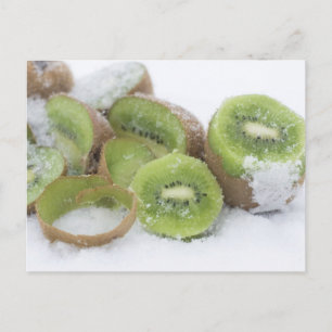 Snowy Kiwi Vykort