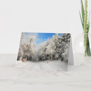 Snowy Land-julkort Helgkort