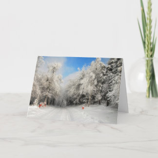 Snowy Land-julkort Helgkort