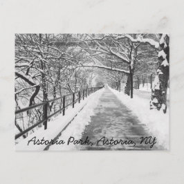 Snowy Lane Astoria, NY-vykort Vykort