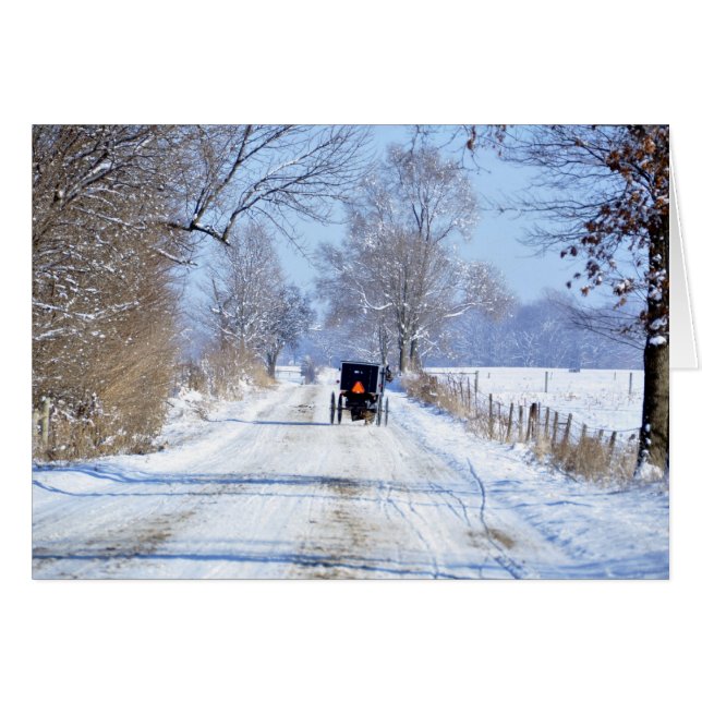 Snowy Lane i Amish Land OBS Kort (Framsidan Horizontal)