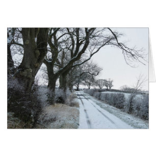 "Snowy Lane" Northumberland England Hälsningskort