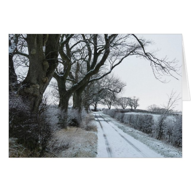 "Snowy Lane" Northumberland England Hälsningskort (Framsidan Horizontal)