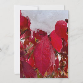 Snowy Leaves Julkort
