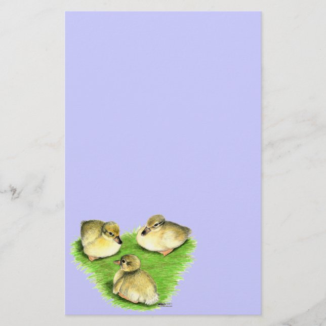 Snowy Mallard Ducklings Brevpapper (Framsida)