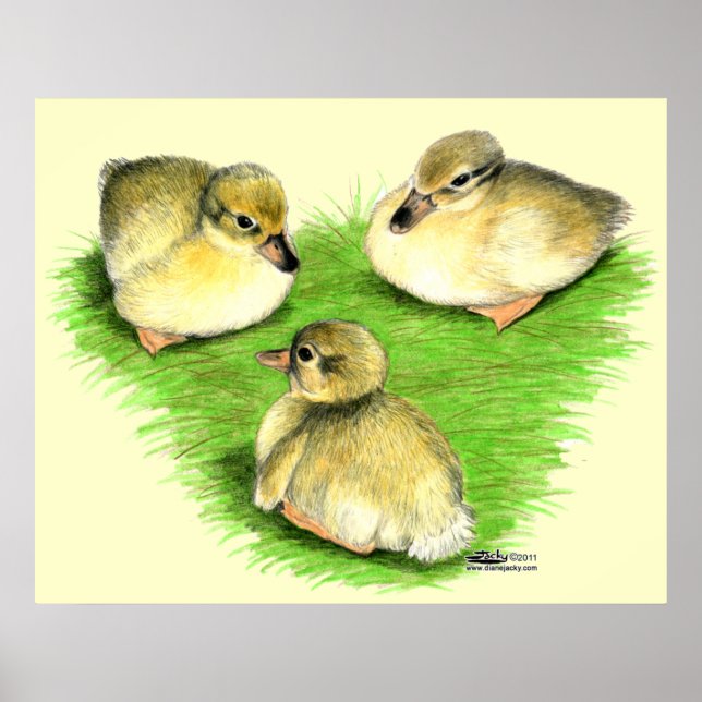 Snowy Mallard Ducklings Poster (Framsidan)