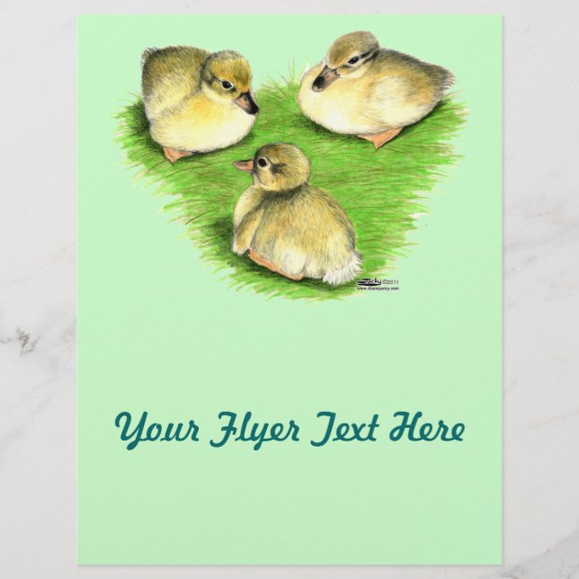 Snowy Mallard Ducklings Reklamblad (Framsidan)