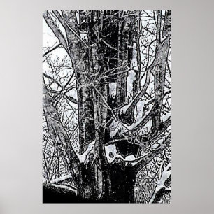 Snowy Maple Poster MUSEUM Zazzle-gåvor