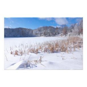 Snowy Marthaler Pond Winter Scenia Fototryck