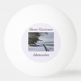 Snowy Morgon Pingisboll